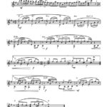 Musings I-Sólarlagskyrrð